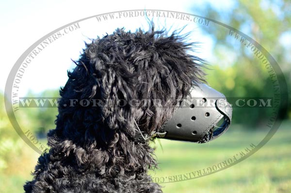 Superb Black Terrier Adjustable Leather Muzzle