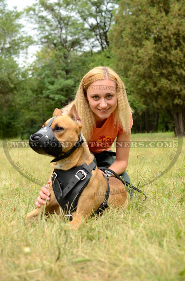 Pit Bull Dog Leather Muzzle