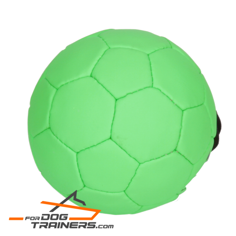 Training Rubber Dog Ball Soccer Like