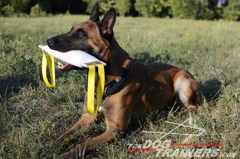 Fire Hose Dog Bite Toy With Handle for Young Dog Training