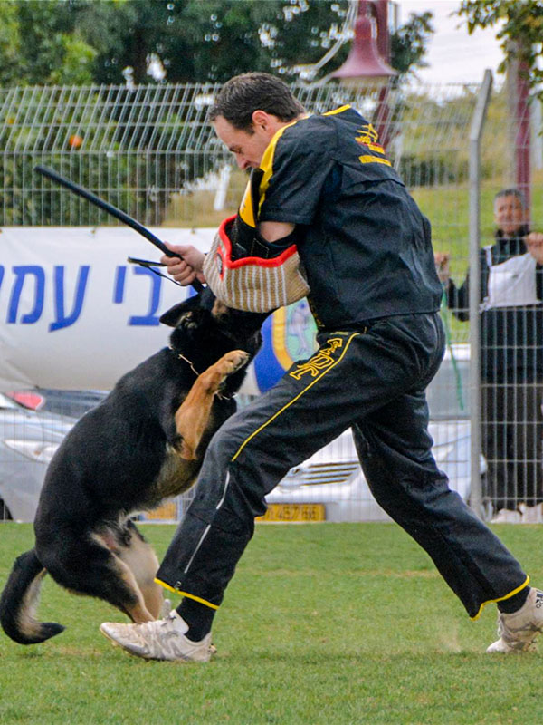 Dog protection sleeve gives advance safety