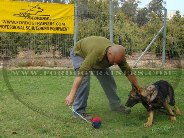 Bite Ball for Training German Shepherds