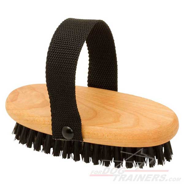 Brush for dog's coat