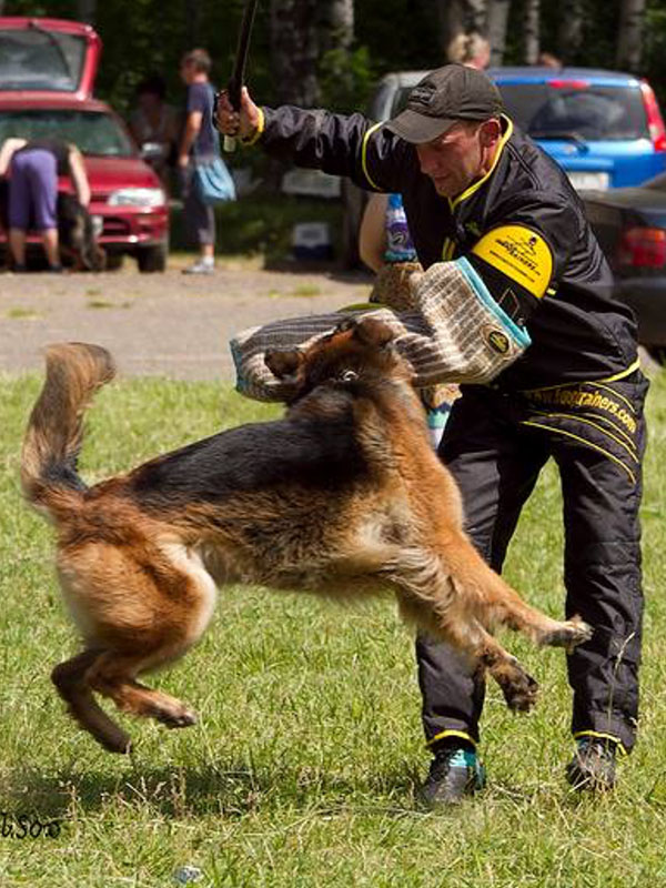 Reliable protection large sleeve for dog training