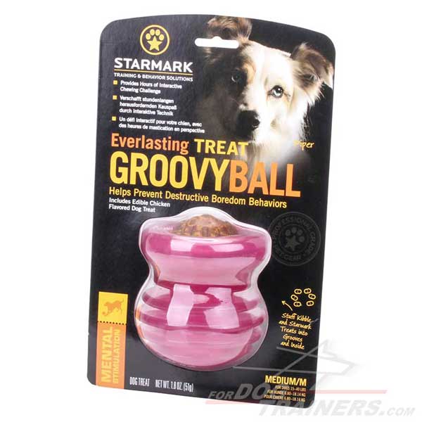 Dog chew toy for dispensing treats and kibble