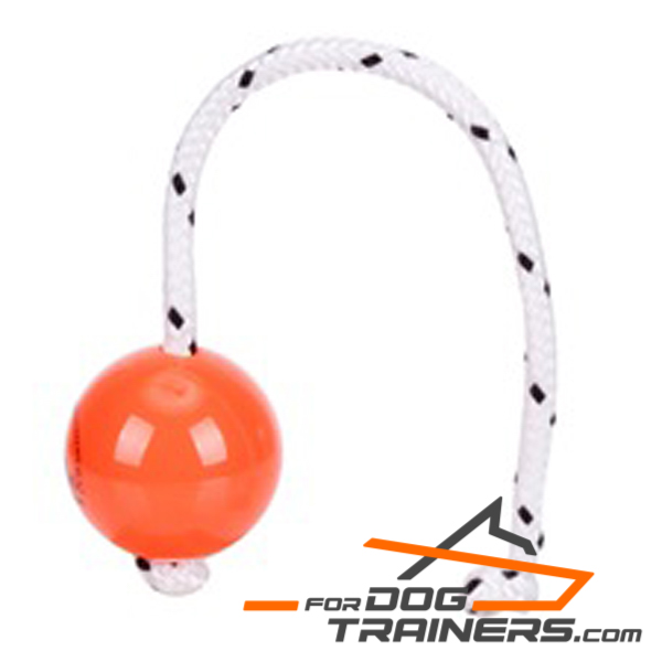 Ball for Dog for Training Young and Adult Dogs