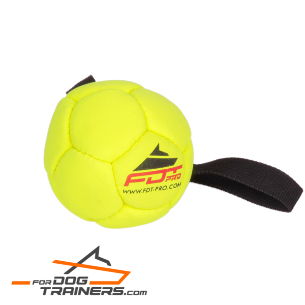 Durable Rubber Dog Training Ball Soccer Like
