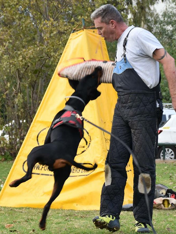 Strong jute sleeve for safe and easy dog training