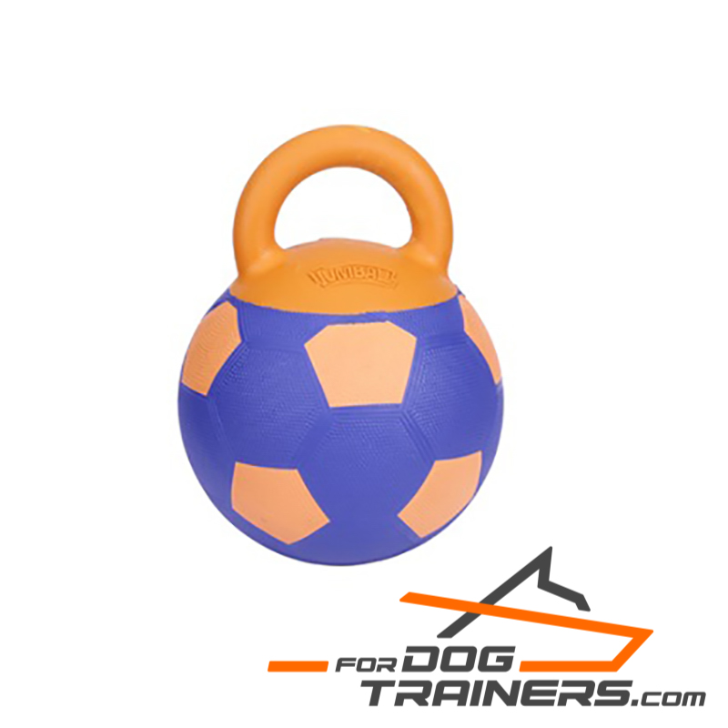 dog ball with handle
