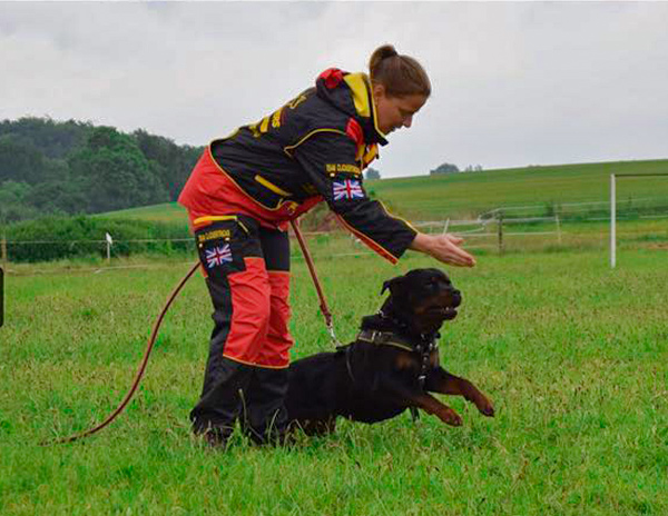 Comfortable and Strong Membrane Suit for Professional Dog Training