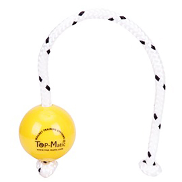 Plastic Dog Ball with Inside Magnet for Fun Training