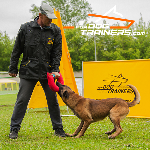 French Linen dog bite tug for multiple use