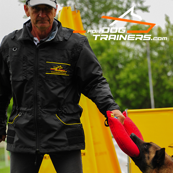 French Linen dog bite tug for multiple use