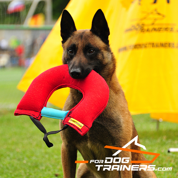 Durable French Linen dog bite tug