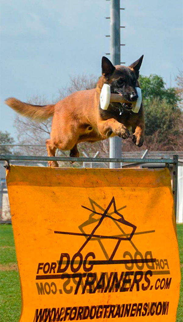 Strong Grade Dog Dumbbell for Schutzhund Trials