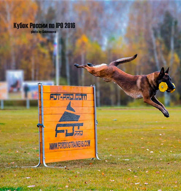 Super Quality Schutzhund jump of special synthetic material