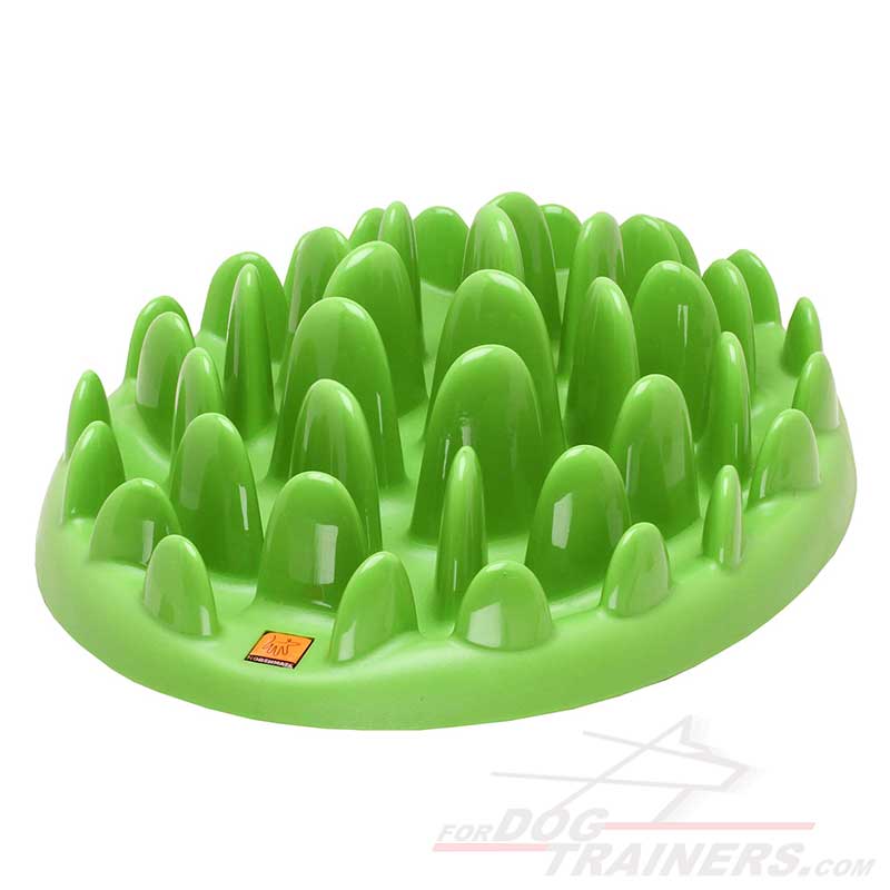 Green Lawn Interactive Slow Dog Feeder Ka17 1073 Interactive Slow