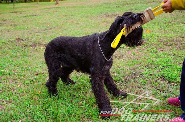 Jute bite Tug with 2 Handles for Riesenschnauzers