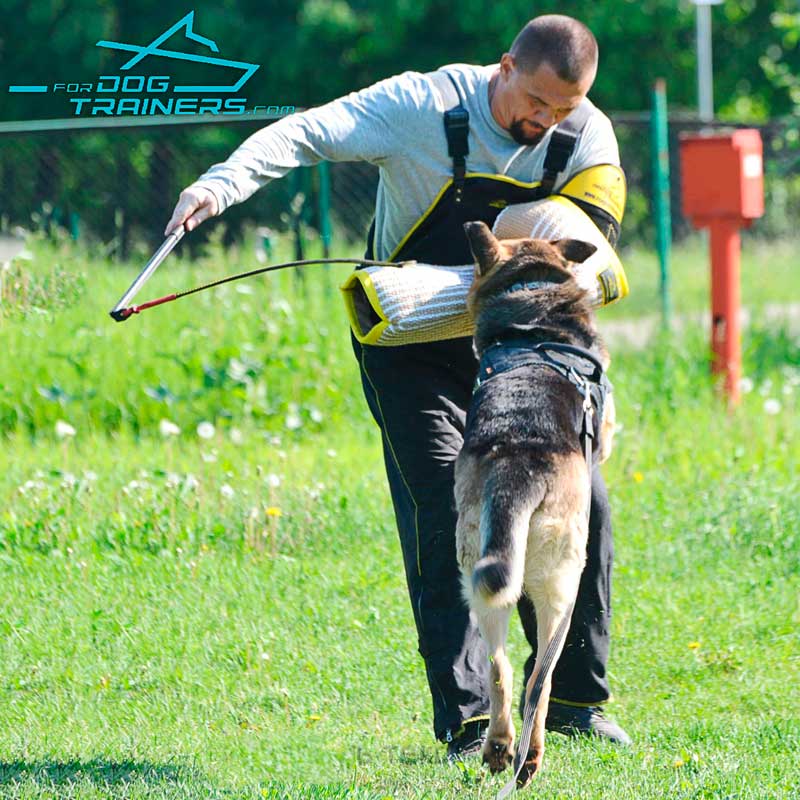 Dog Training Agitation Whip - 30% DISCOUNT [TE10#1073 Schutzhund Agitation  Whip] - $32.99 : Best quality dog supplies at crazy reasonable prices -  harnesses, leashes, collars, muzzles and dog training equipment