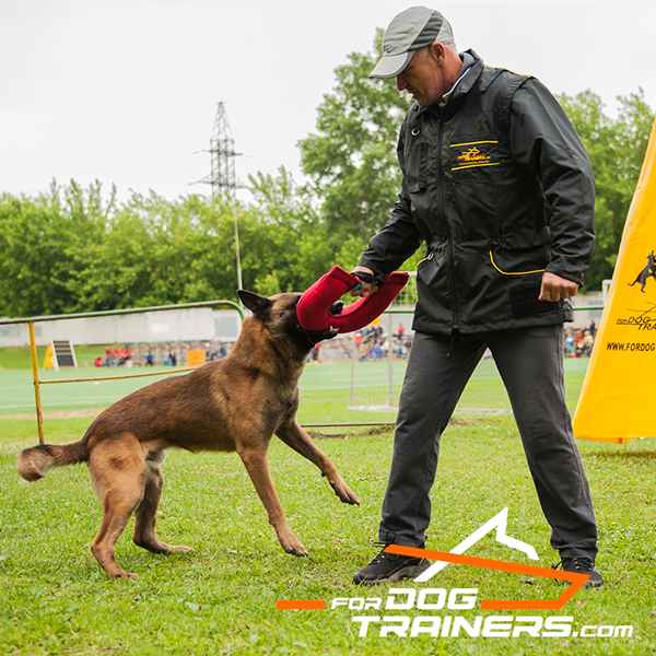 Lightweight Coat/Vest for Dog Training
