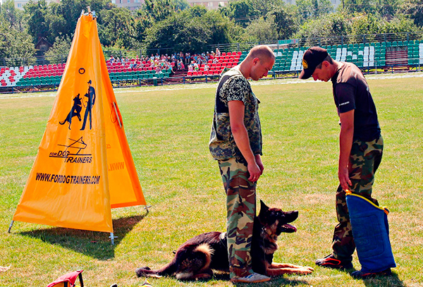 Reliable Professional Training Blind