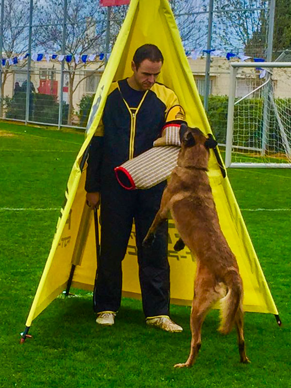 Purchase Schutzhund Dog Training Mini Blind