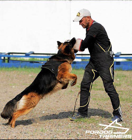 Short dog training sleeve with jute cover