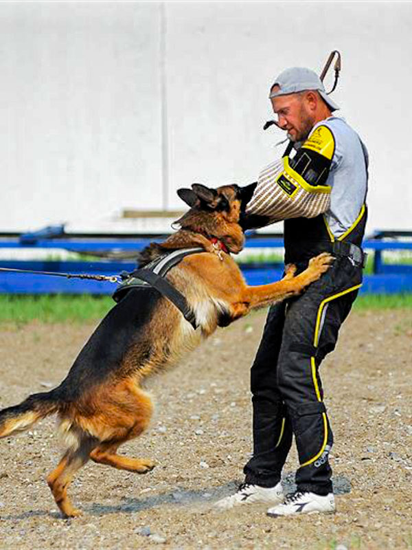 Strong Dog Bite Sleeve For Dogs Training