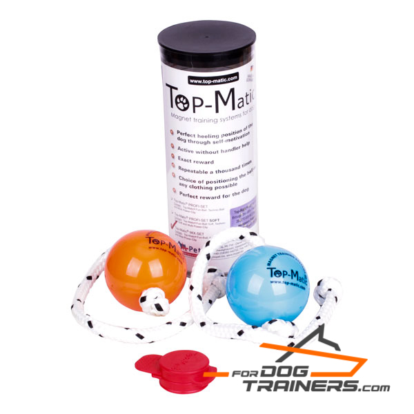 Ball for Dog for Training Young and Adult Dogs