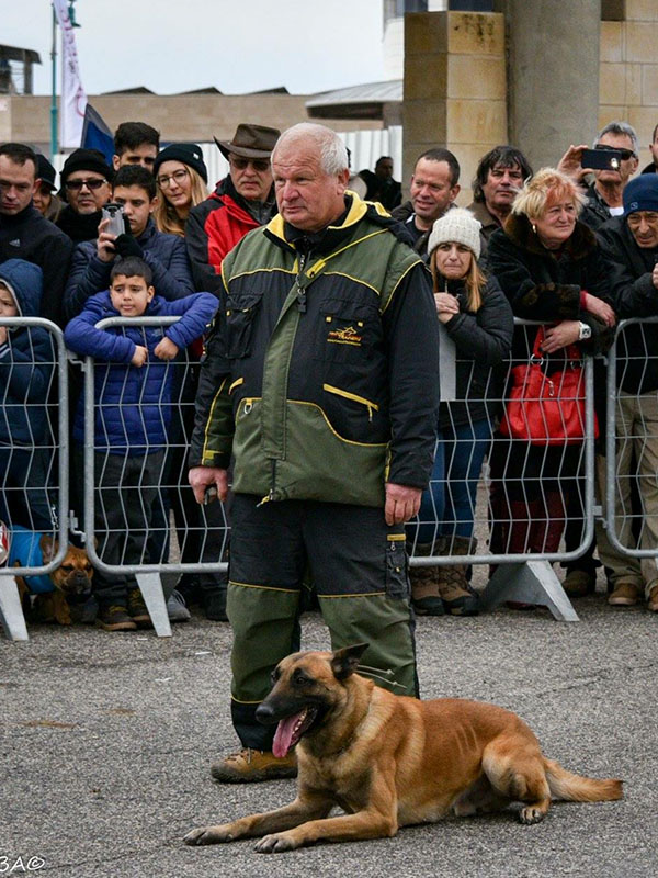 Dog Scratch Protection Suit for Safe Schutzhund Training