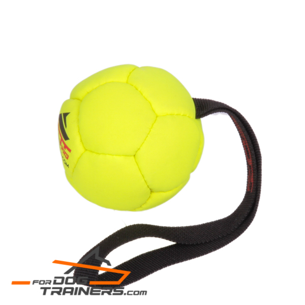 Training Rubber Dog Ball Soccer Like