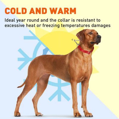 Biothane Martingale Collar