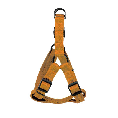Flat Nylon Harness