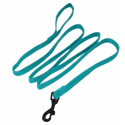 Nylon Leash