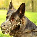 Lightweight Breathable Royal Basket Leather German Shepherd Muzzle Lightweight Breathable Royal Basket Leather German Shepherd Muzzle
