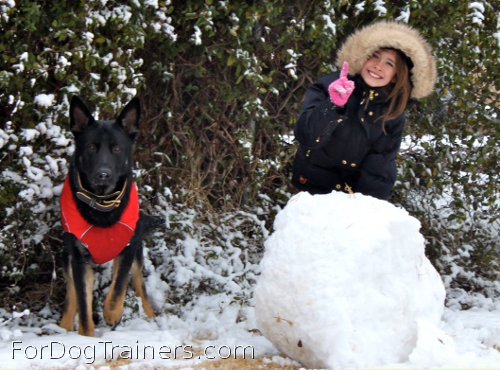 Alois wearing new Royal Nappa Padded Hand Made  Leather Dog Collar and Vanessa are proud of her dog