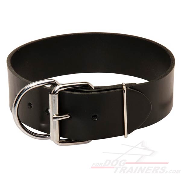 Leather Dog Collar with Nickel Plated Hardware