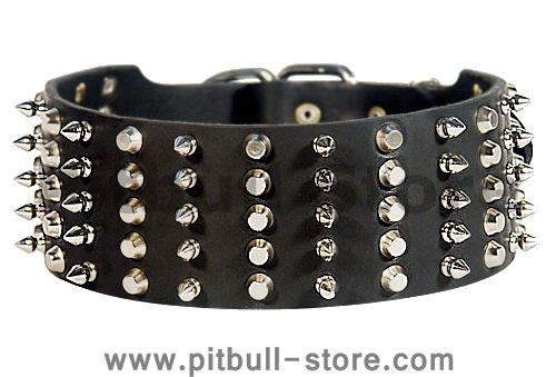 3 inch Spiked and Studded Pitbull collar