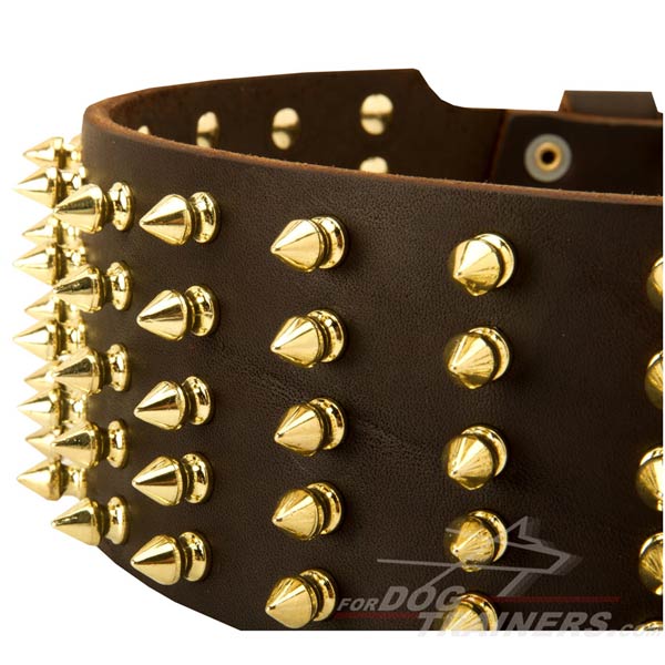 Brass Spikes on Adjustable Leather Cane Corso Collar