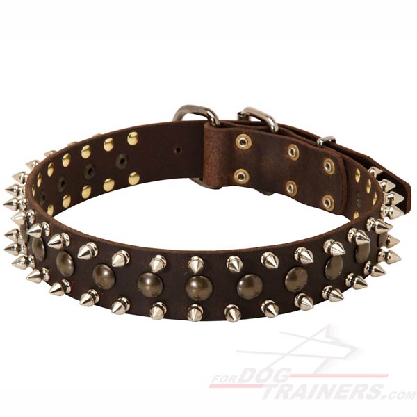 Unique Leather Dog Collar with Embellishment