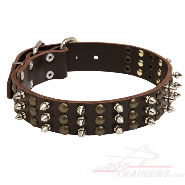 Leather Collar with spikes and studs