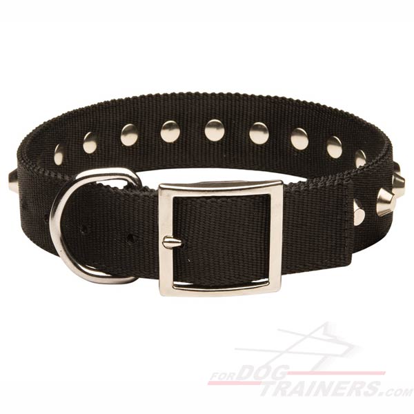 Strong  nylon collar with durable hardware