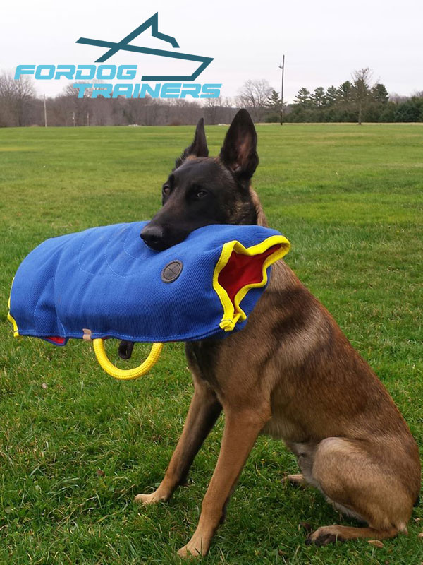 belgian malinois accessories