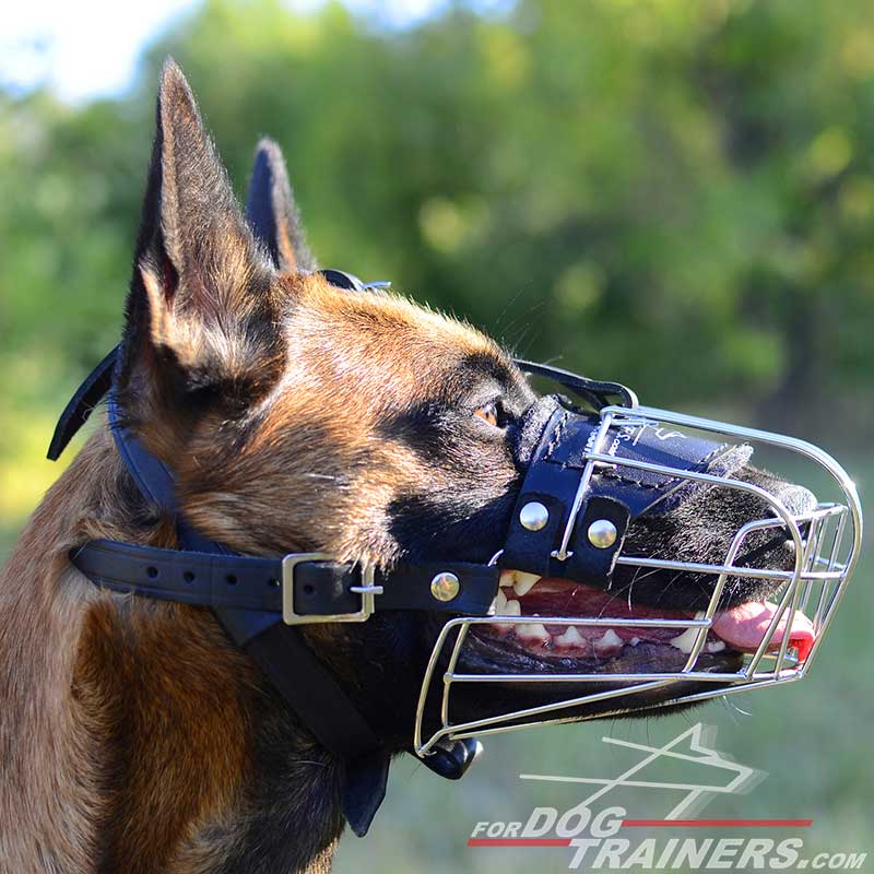 best muzzle for belgian malinois