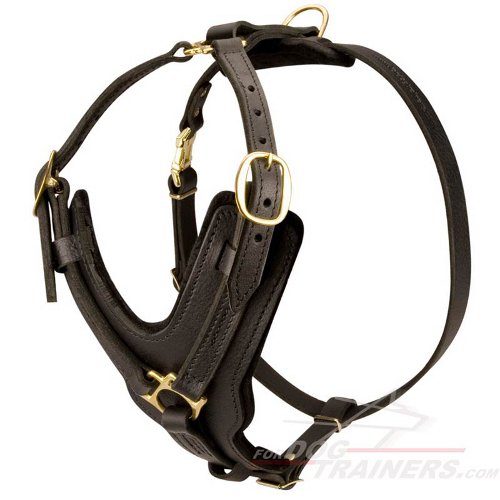 mountain dog harness