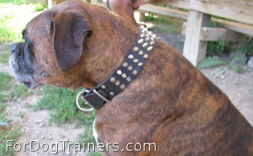 Best fit of the collar