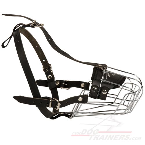 Wire Basket Adjustable Muzzle for Dog Walking and Training