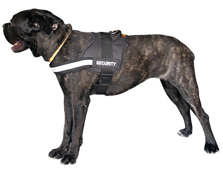 Nylon Strap Dog Harness Velcro Patches Pet Guide Assistance Service vest  Pitbull