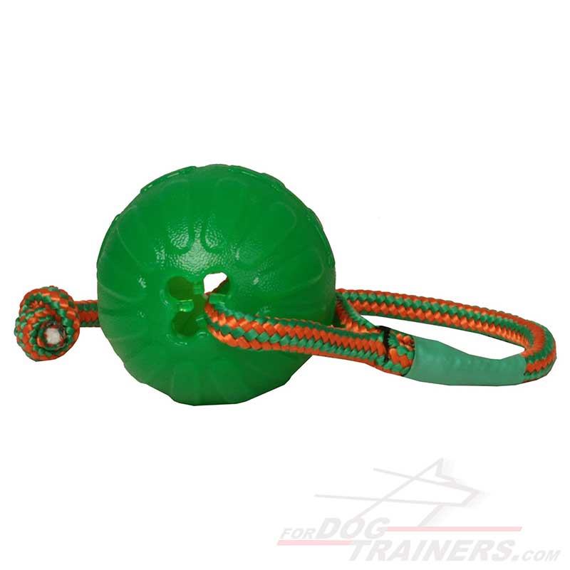 https://www.fordogtrainers.com/images/large/Chew-Dog-Water-Ball-On-Rope-TT24_LRG.jpg