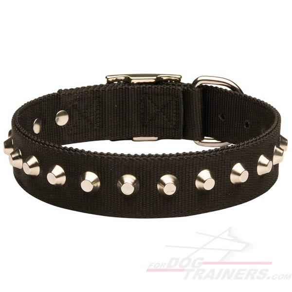 Fashionable leather collar